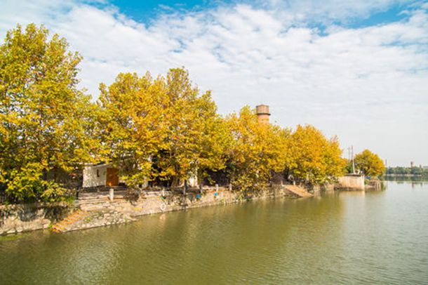 2020ȫ384Ҫһ°